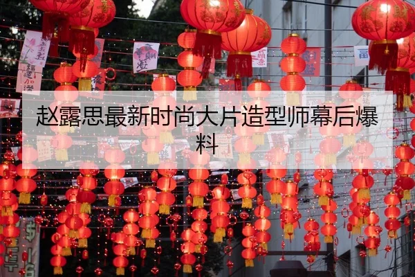 zhao-lu-si-zui-xin-shi-shang-da-pian-zao-xing-shi-mu-hou-bao-liao-2-538.jpg